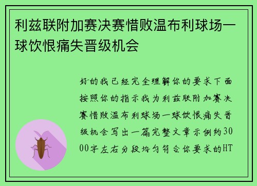 利兹联附加赛决赛惜败温布利球场一球饮恨痛失晋级机会