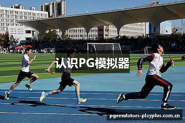 认识PG模拟器